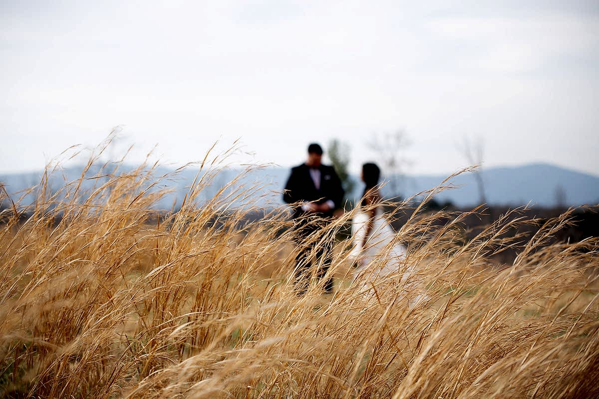 Shenandoah-National-Park-Elopement-79.jpg