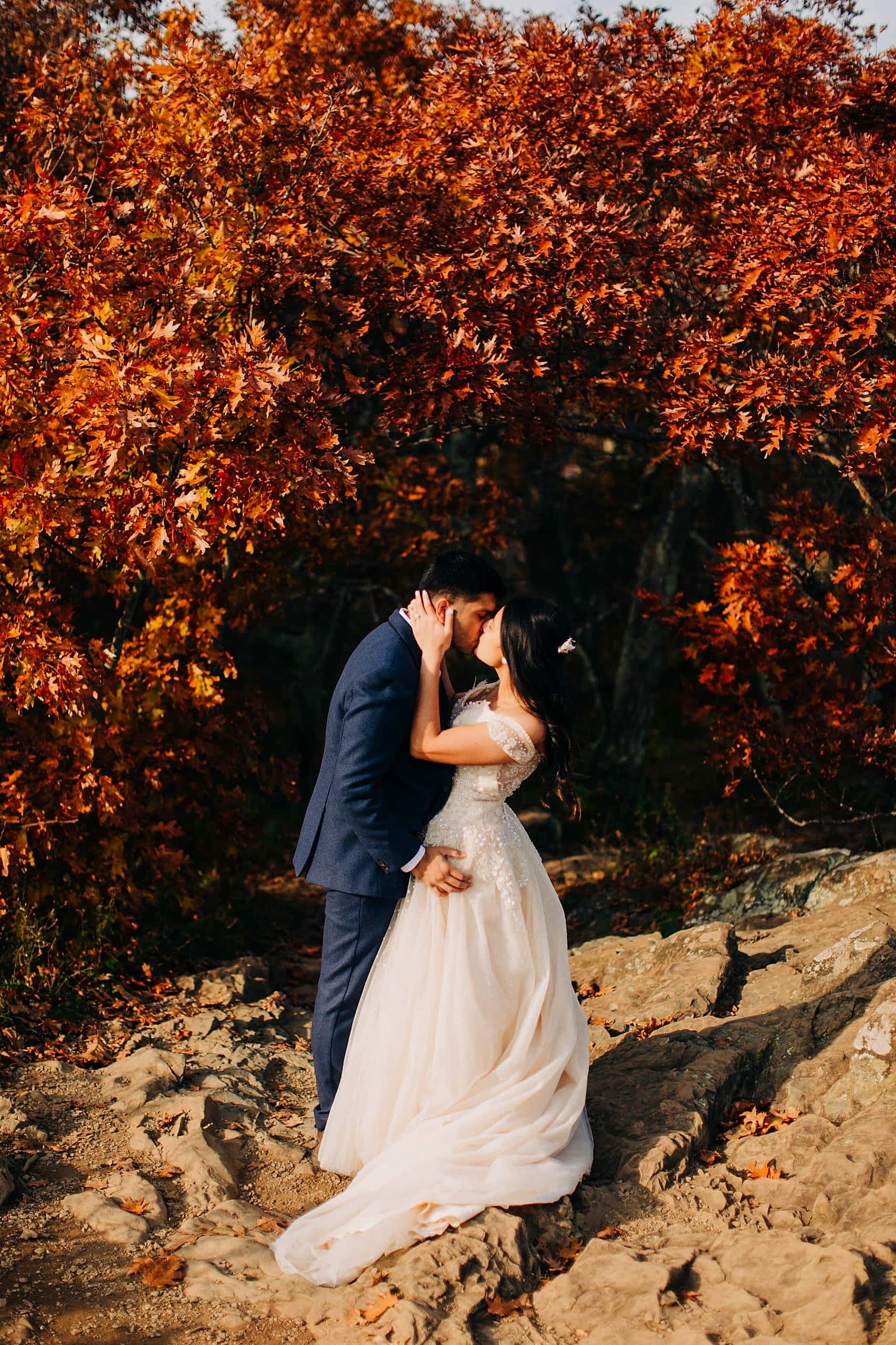 Shenandoah National Park Elopement-209.jpg