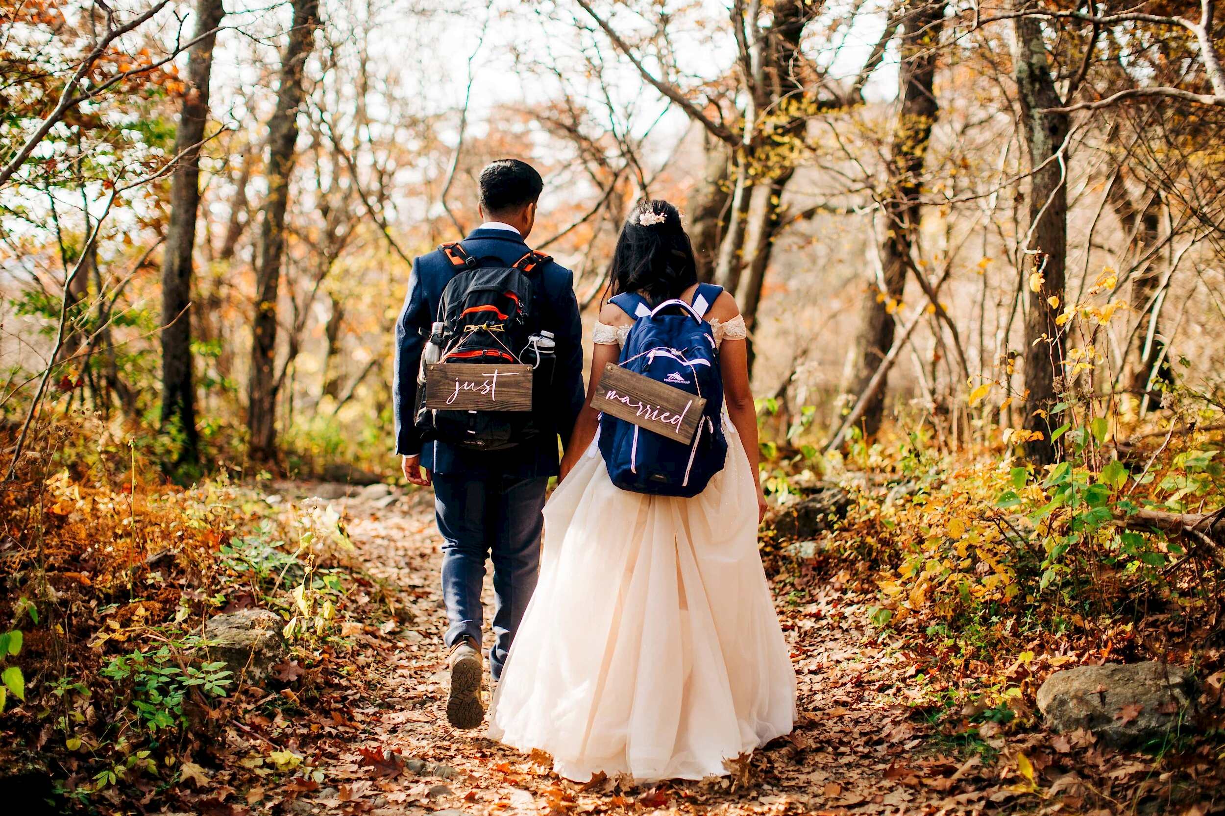 Shenandoah National Park Elopement-210.jpg