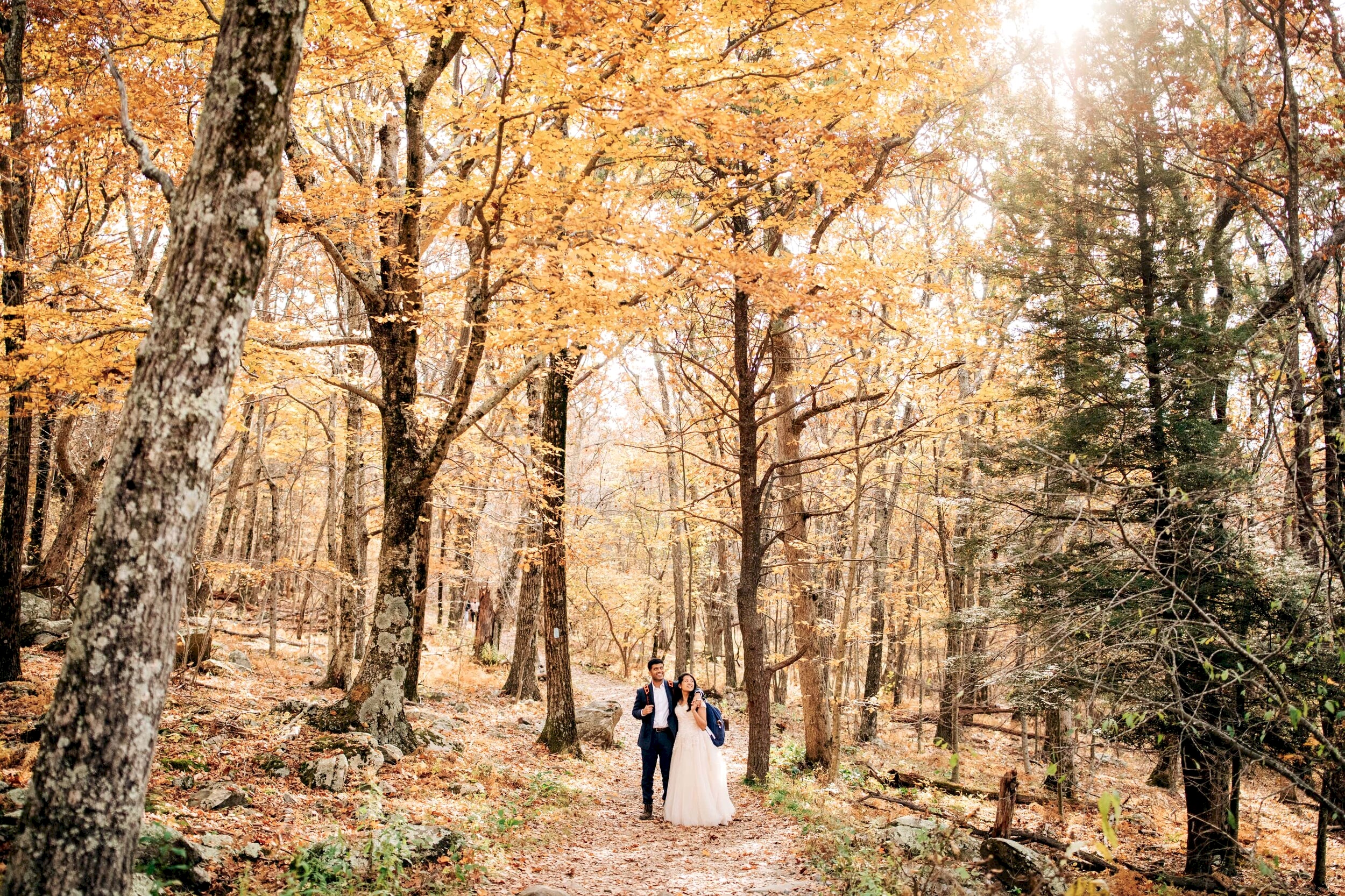 Shenandoah National Park Elopement-215.jpg