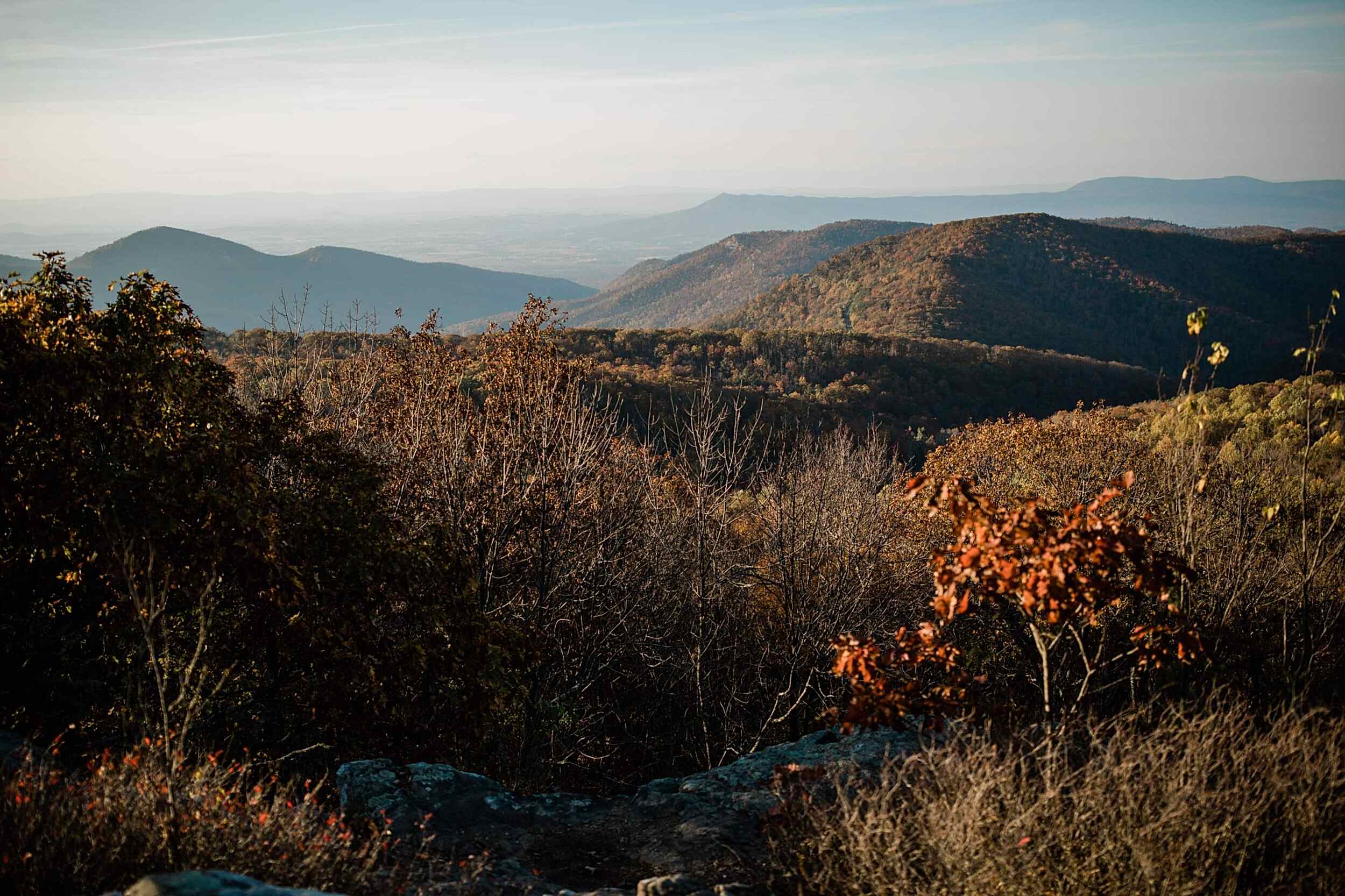 Shenandoah National Park Elopement-220.jpg