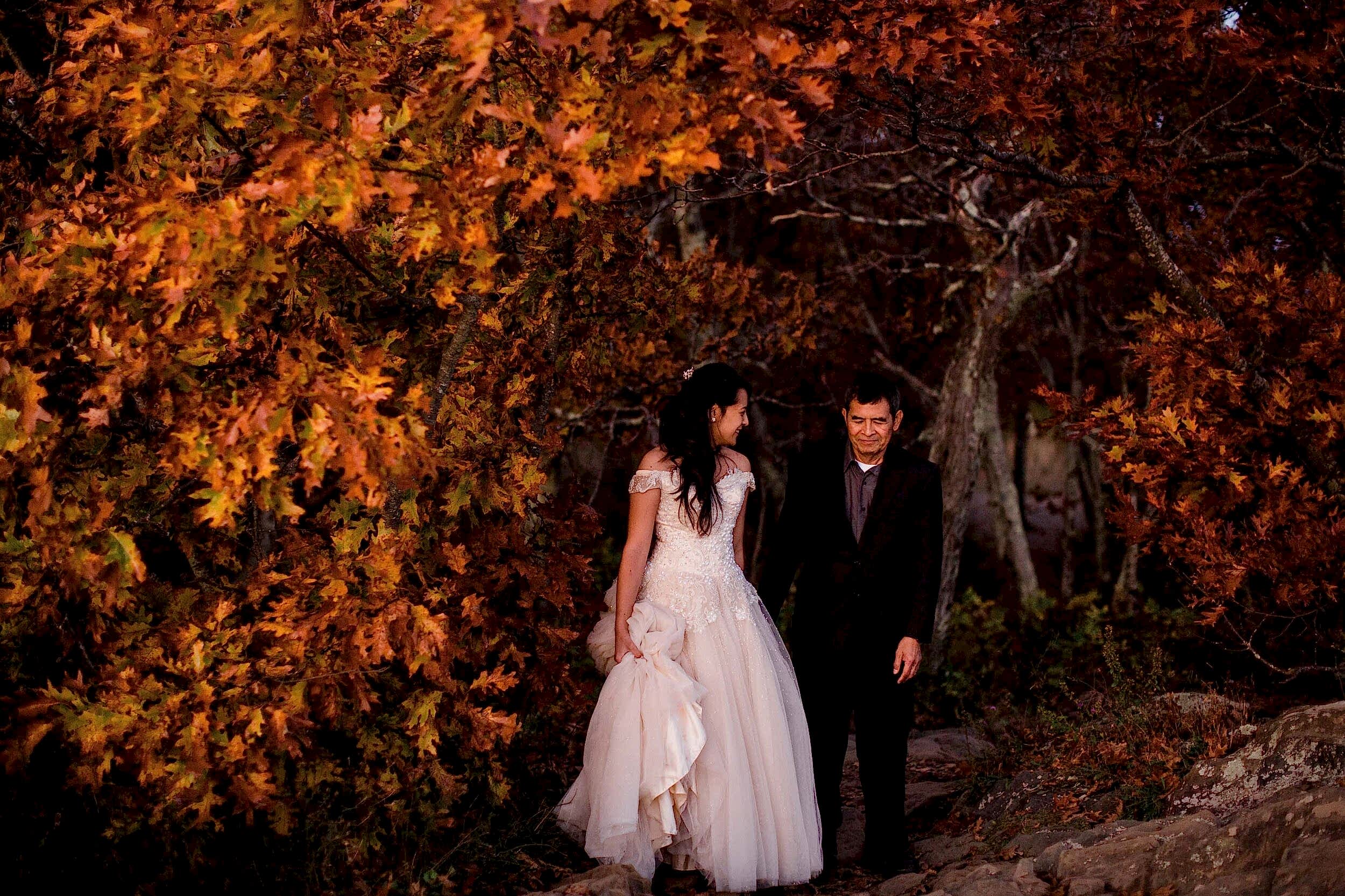 Shenandoah National Park Elopement-7.jpg