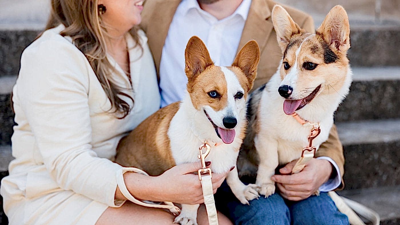 A couple snuggles with their dogs in downtown Roanoke